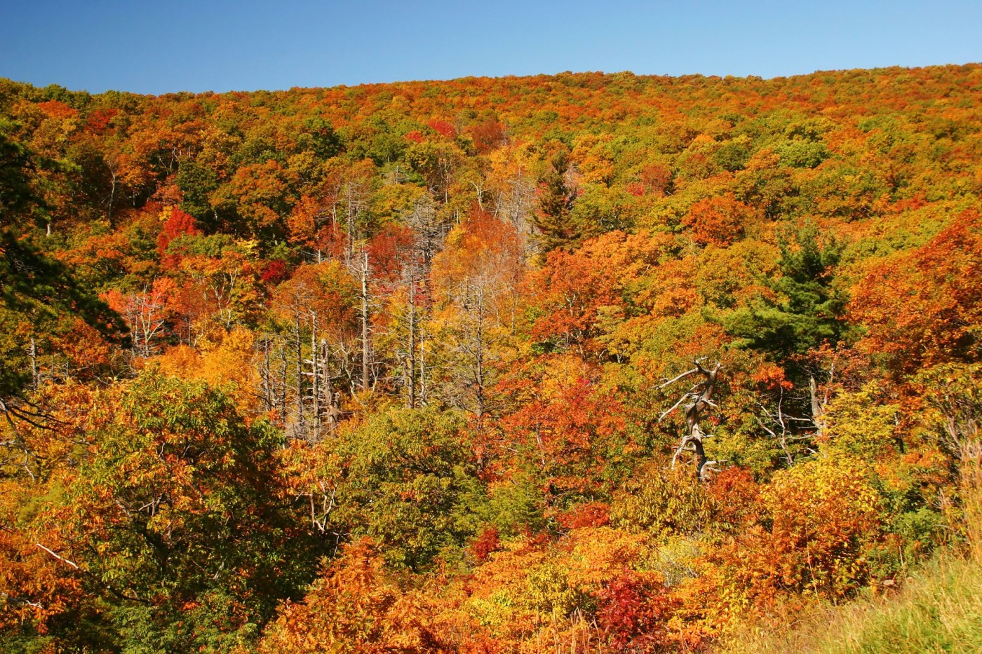 The best national parks for seeing spectacular fall foliage this year