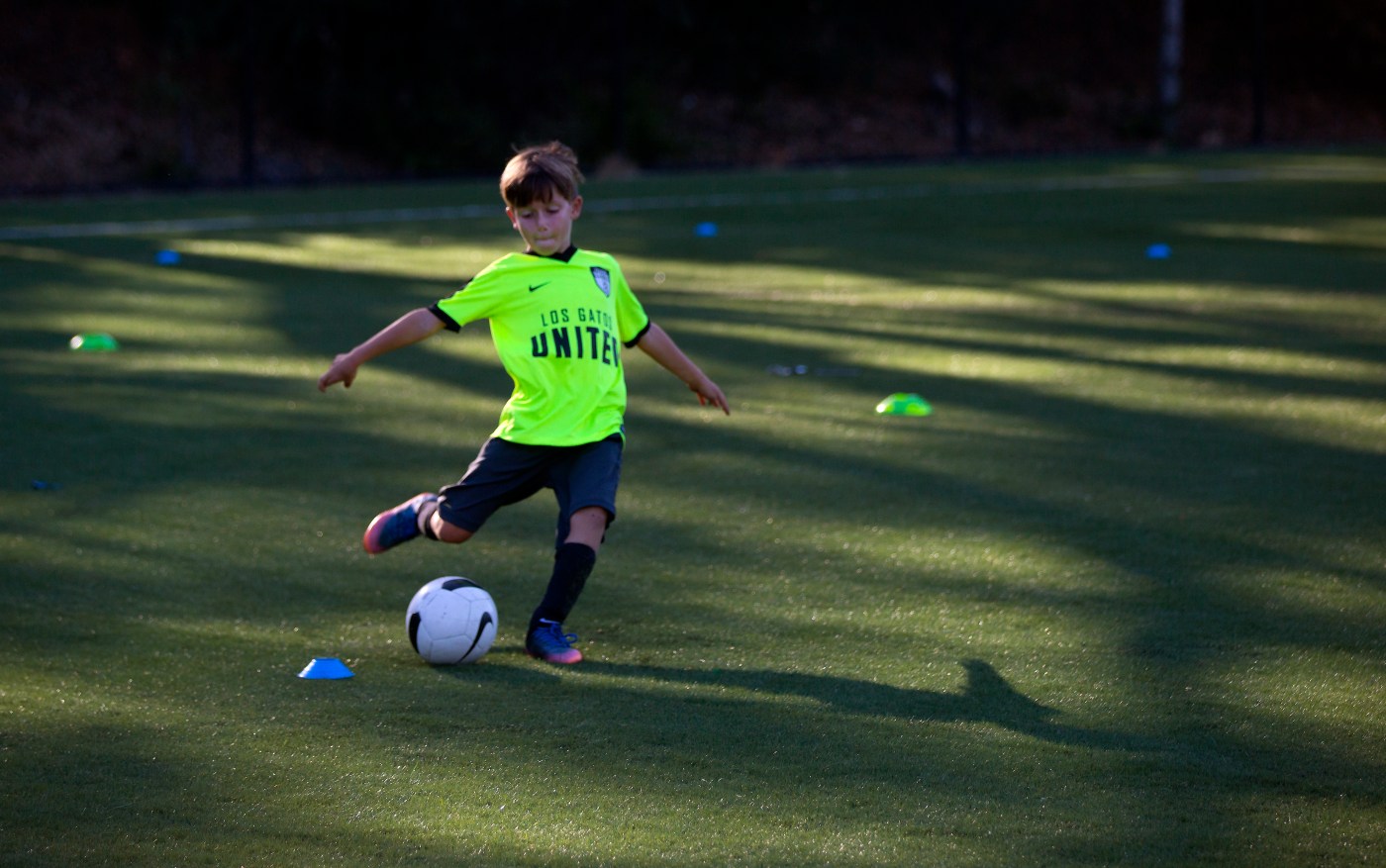 Los Gatos weighs artificial turf vs. real grass for sports park