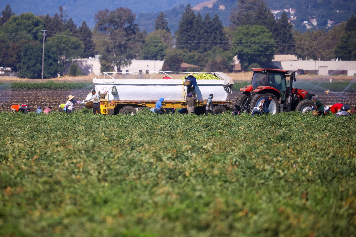 Gov. Newsom vetoes bill meant to protect farmworkers from heat