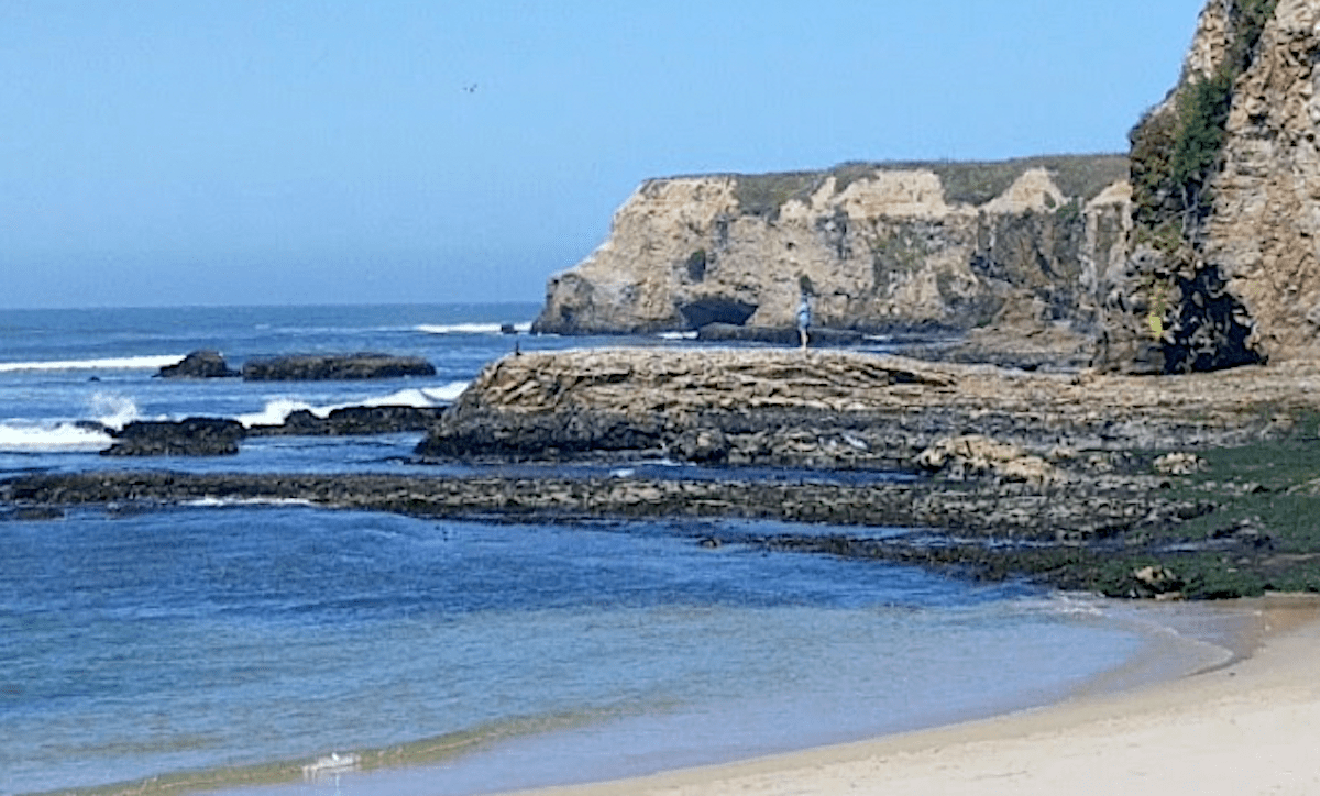 Dead person pulled from surf at Davenport beach