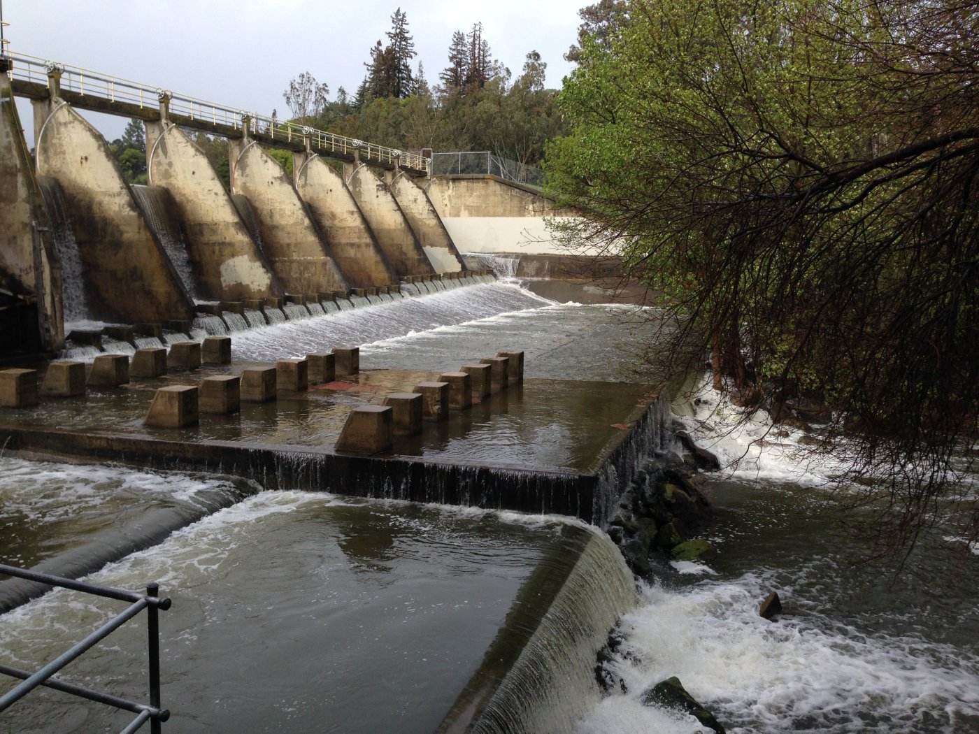 Los Gatos Creek trail detours in place this fall