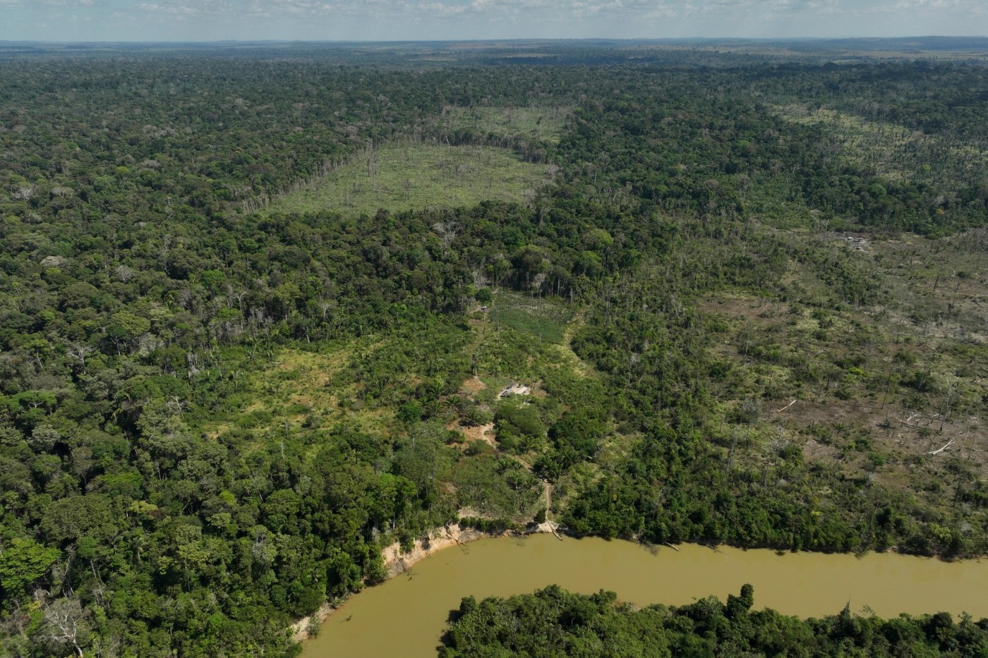 Amazon deforestation drops by 31% compared to last year