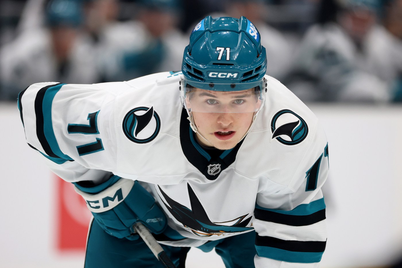 San Jose Sharks’ Celebrini impresses yet another NHL coach