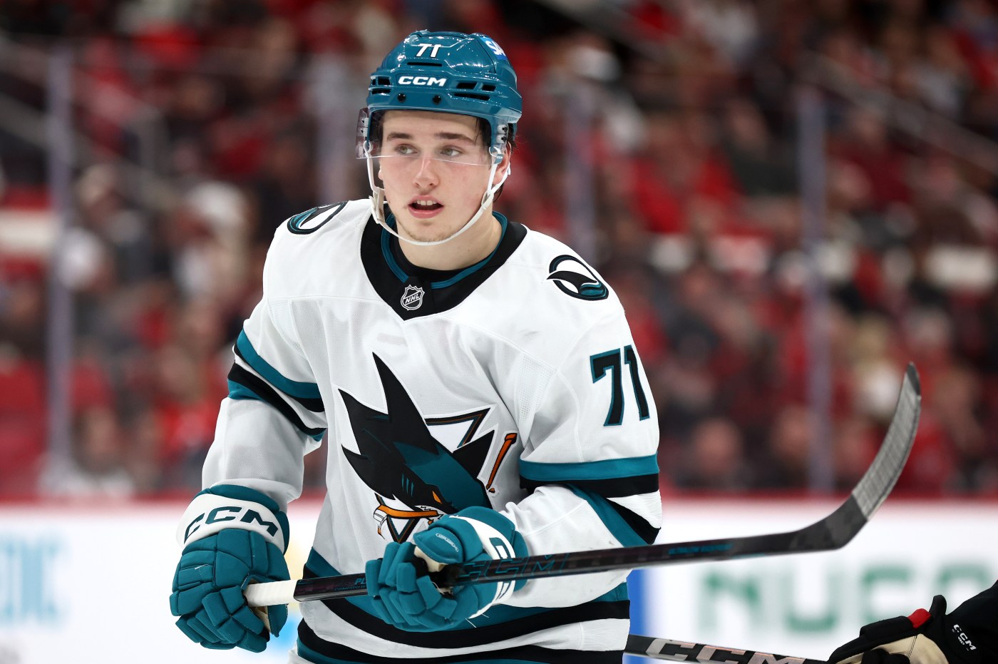 Macklin Calder-brini? Sharks teen builds early case for top rookie award