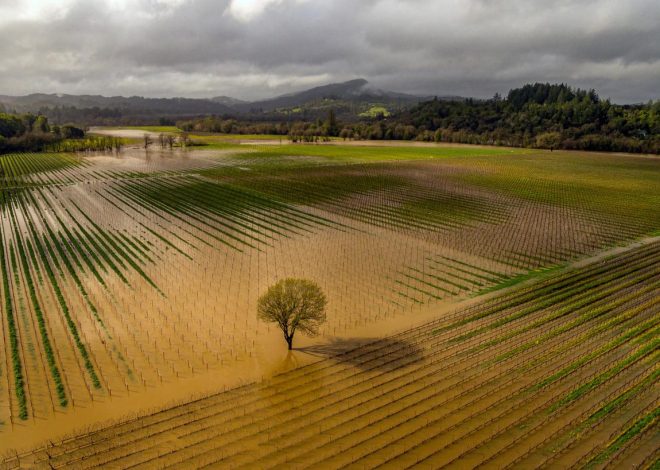 Flood advisory and flood watch issued for areas near Santa Rosa