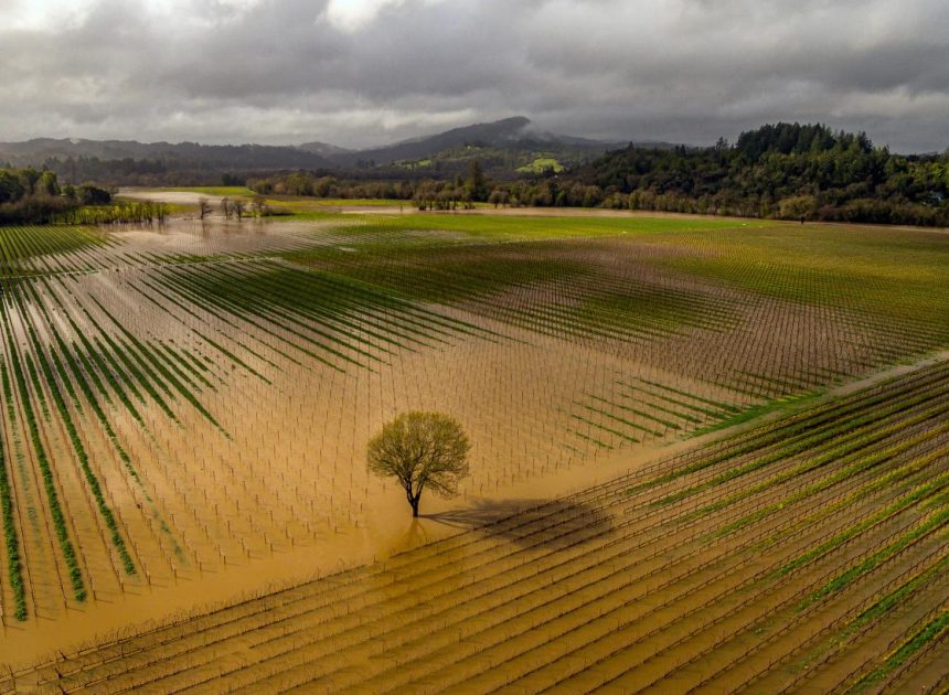 Flood advisory and flood watch issued for areas near Santa Rosa