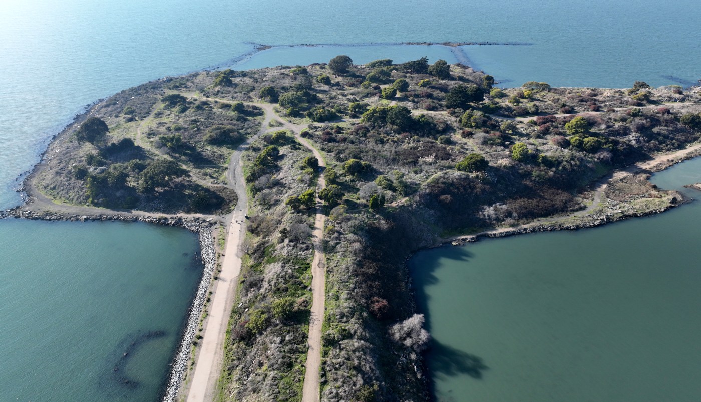 Despite media hype, experts unfazed by elevated radiation at Albany Bulb