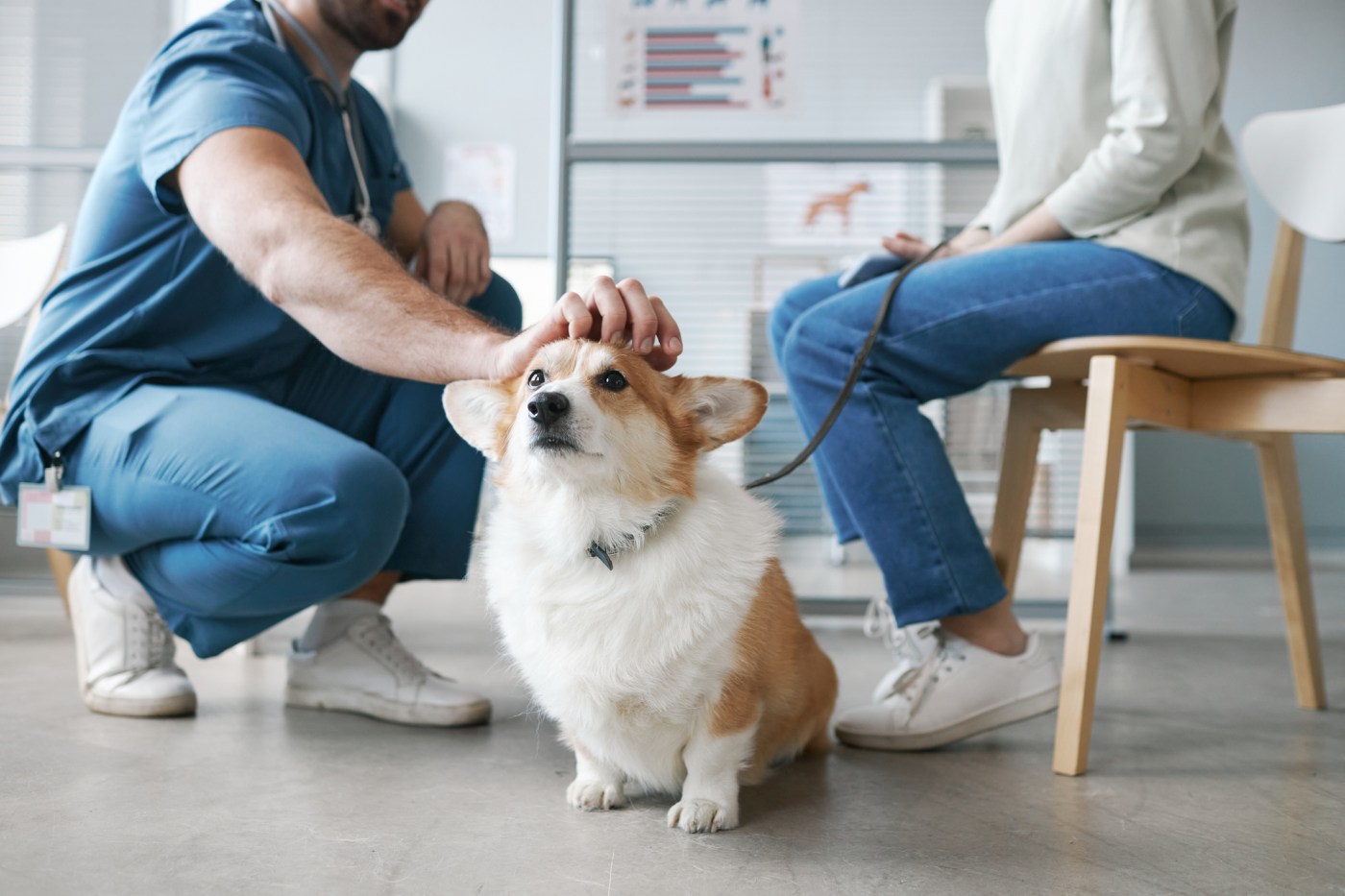 San Jose mom worried her daughter isn’t being realistic about dog’s quality of life