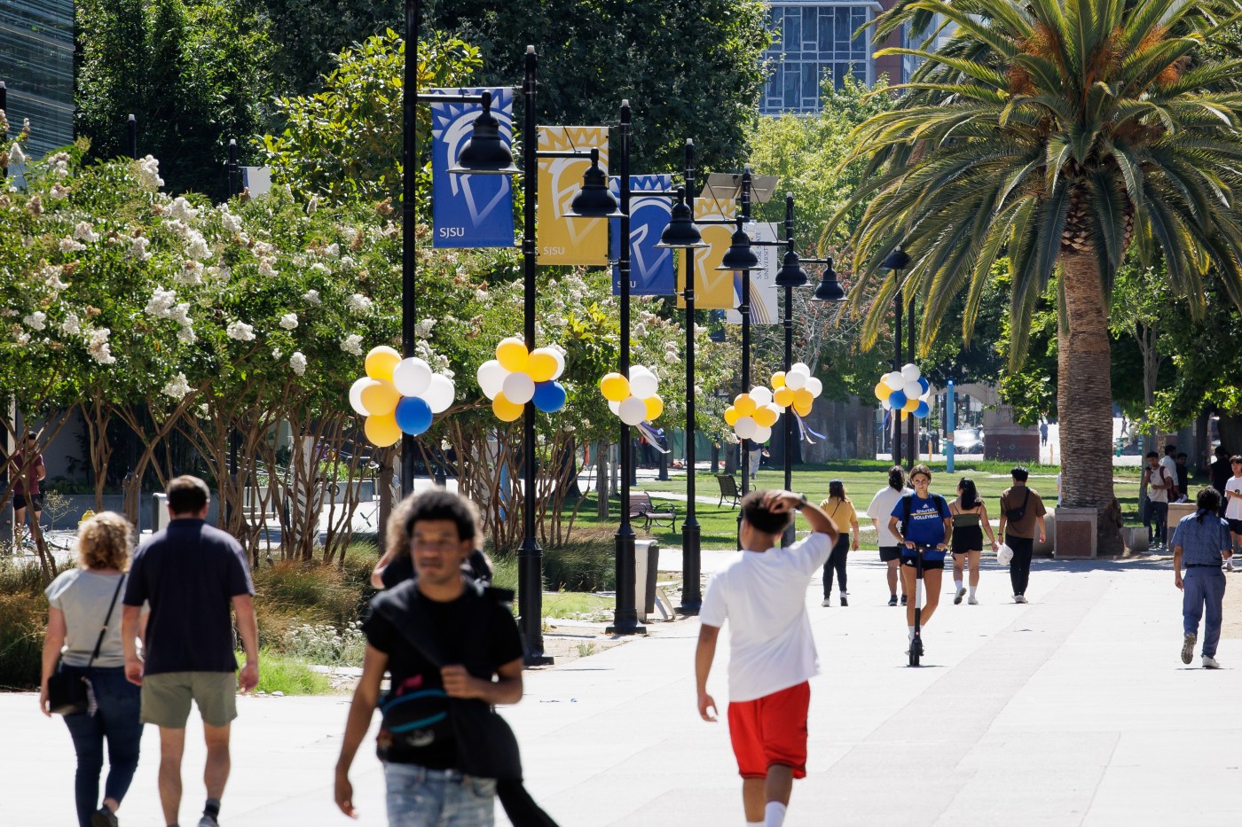 Freshmen enrollment fell at Bay Area universities following financial aid fiasco