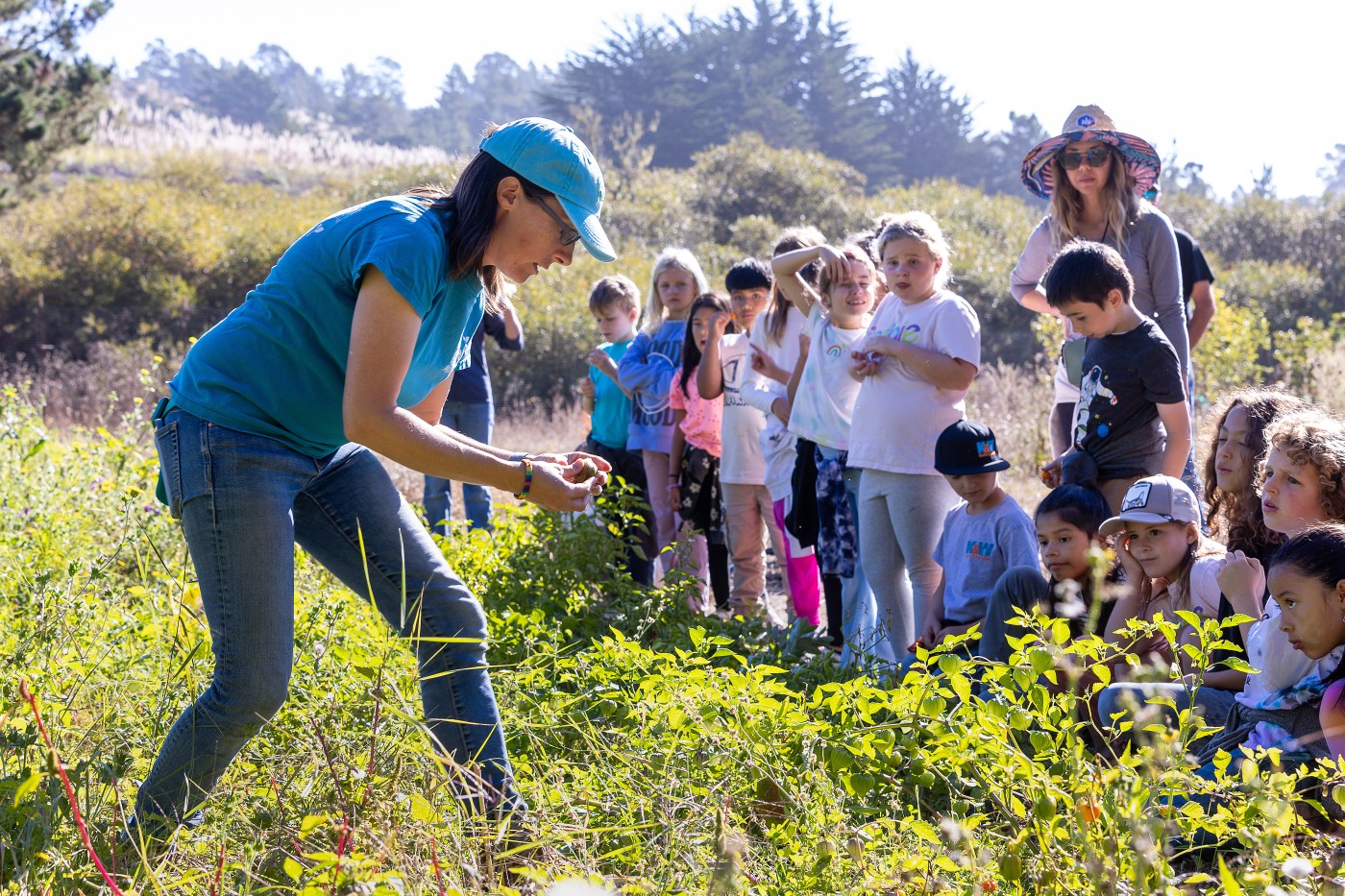 Wish Book: School children harvest lessons on nutrition, environment and science by spending time on the farm