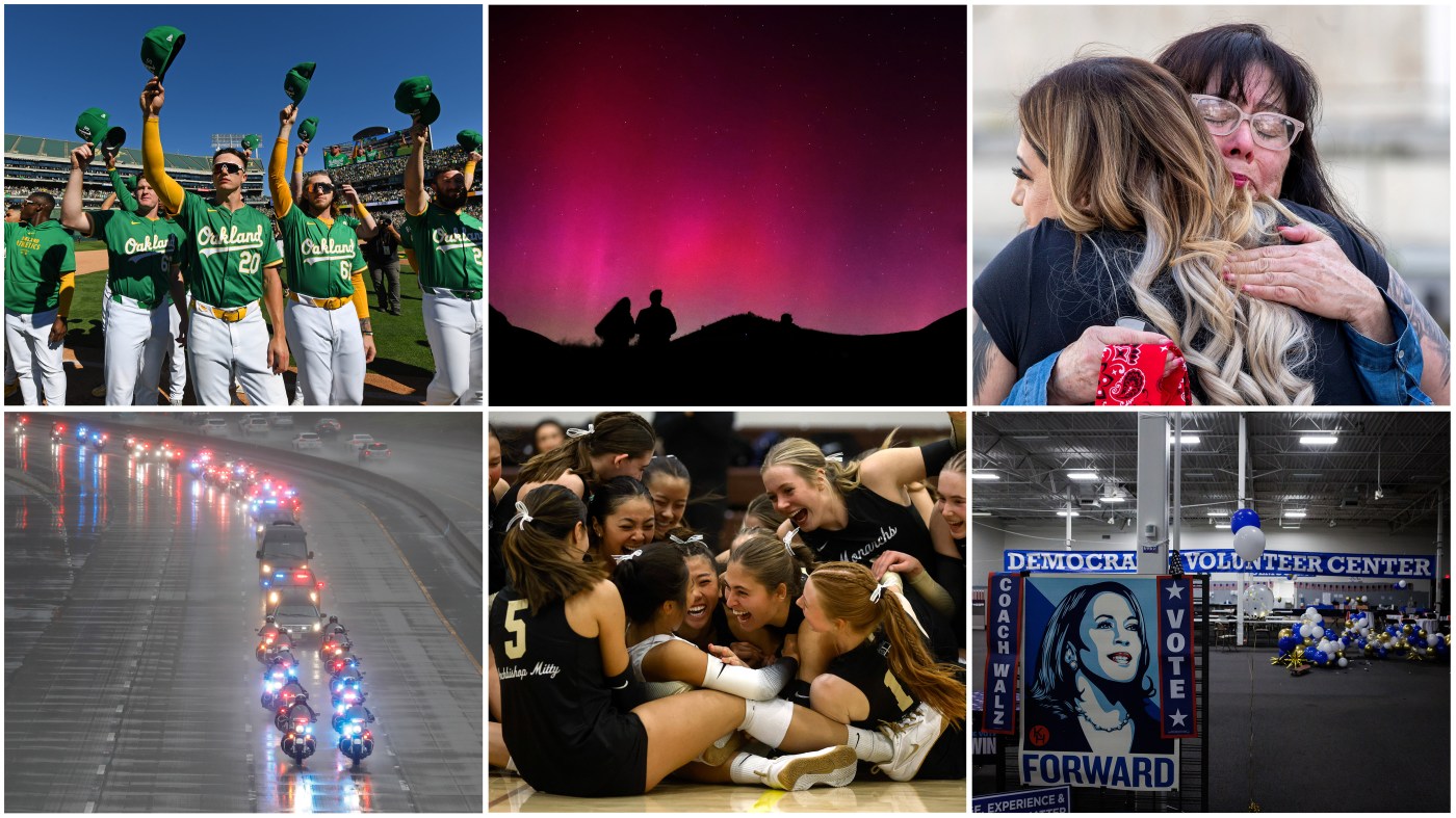 2024: A look back at Bay Area images that made our year