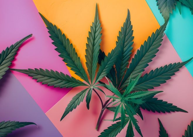 Here are Five Celebrity-Backed Cannabis Brands