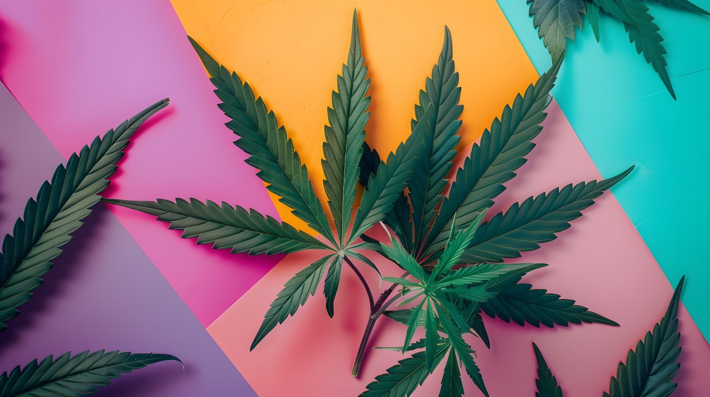 Here are Five Celebrity-Backed Cannabis Brands