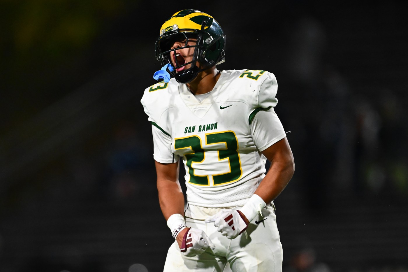 All-Bay Area News Group high school football 2024: Linebackers