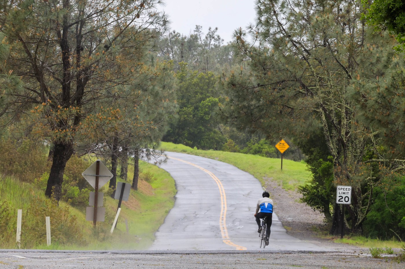 Bullying and bicycles: Danville ousts prolific advocates after bitter, months-long feud