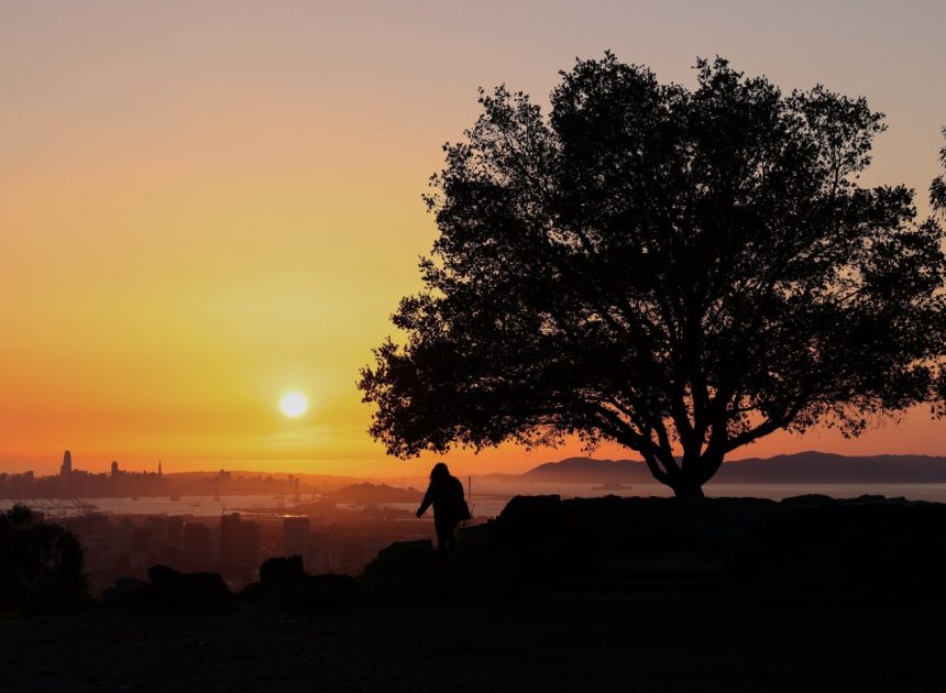 More sunny and cold weather ahead for Bay Area. When will it rain again?