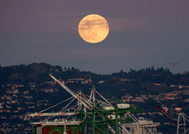 Photos: The full Wolf Moon rises around the Bay and the world