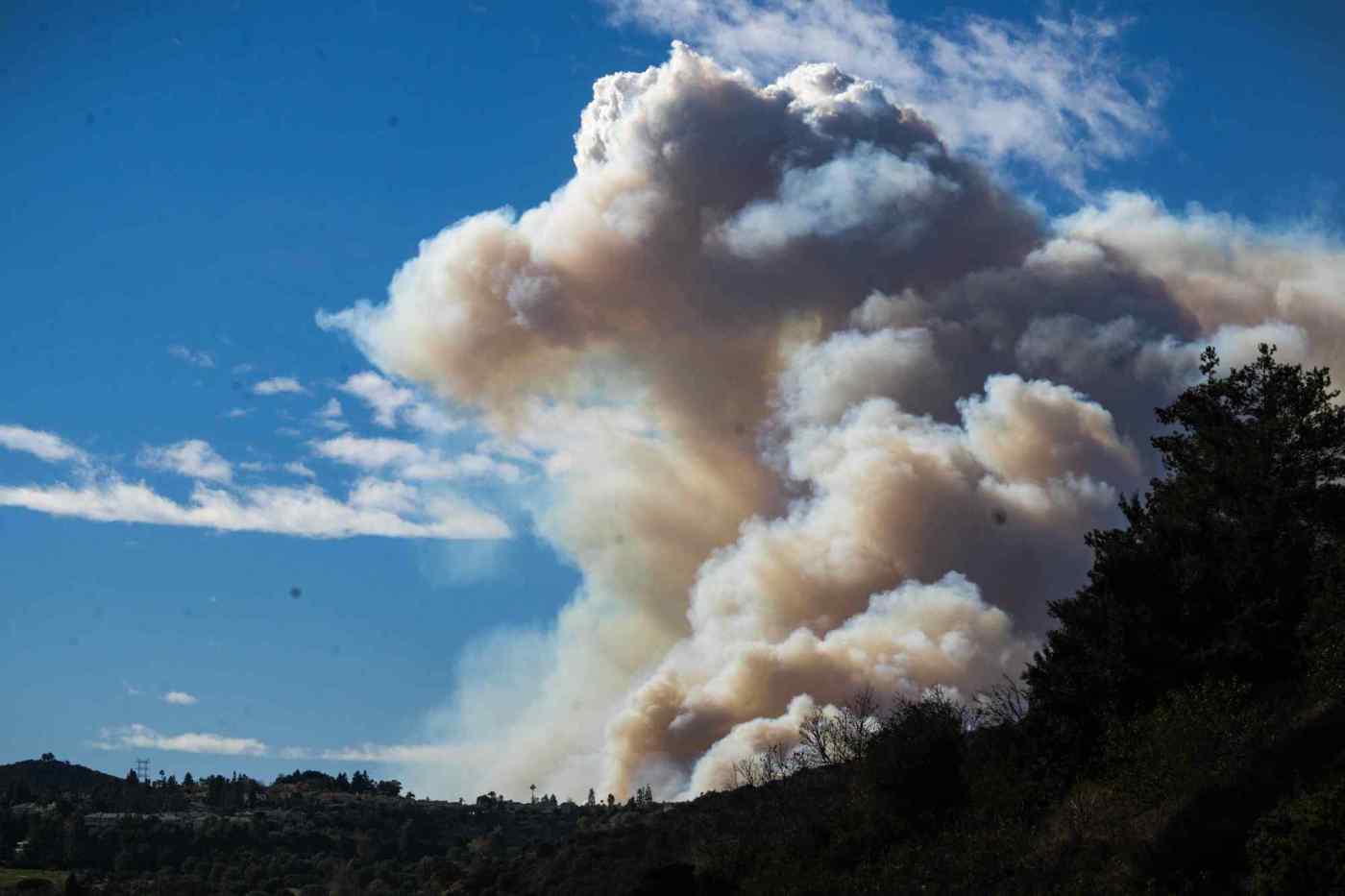 Live web cams capture Los Angeles wildfires in realtime