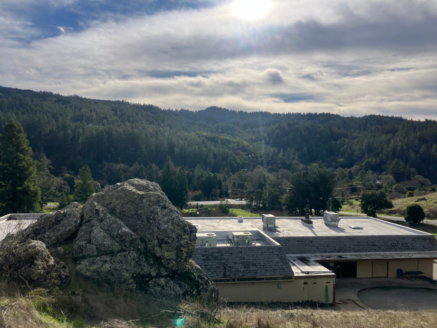 Marin hike: An easy jaunt through San Geronimo Valley