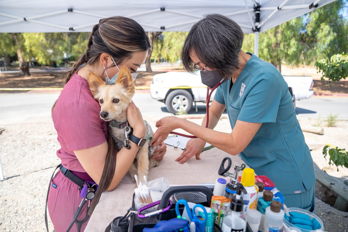 Humane Society has advice for Spay/Neuter Awareness Month