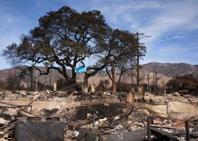 Firefighters maintain progress on Palisades, Eaton fire containment despite challenging winds