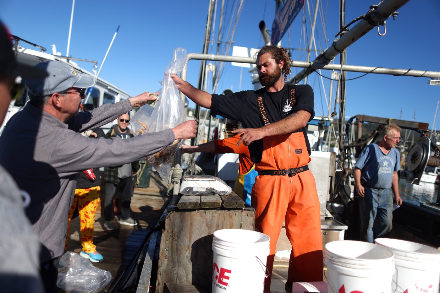 Commercial crabbing season takes sail