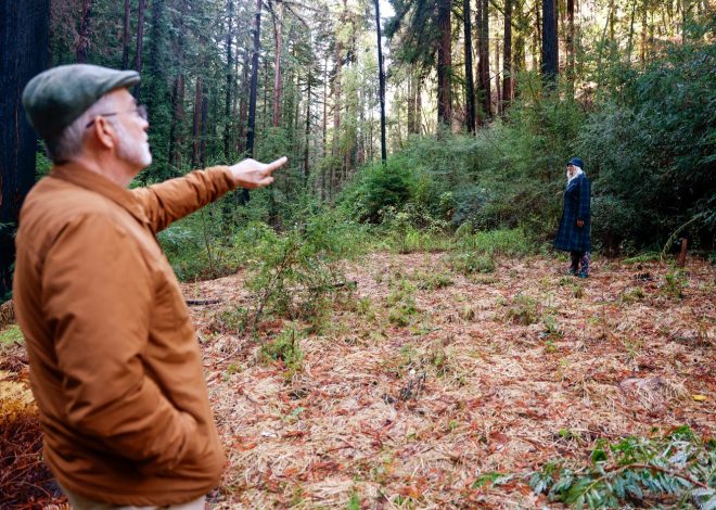 As climate “whiplash” worsens, post-CZU soil erosion in the Santa Cruz Mountains reveals post wildfire problems