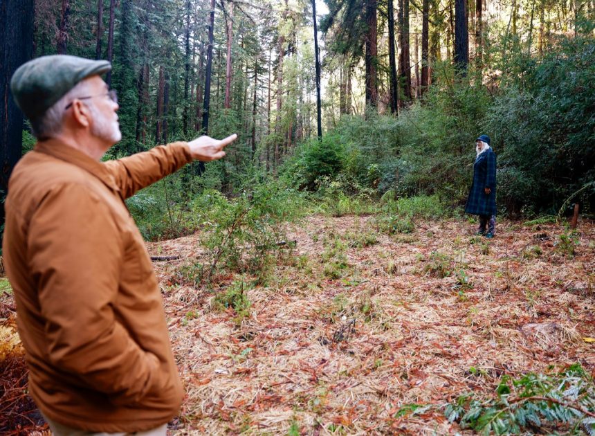 As climate “whiplash” worsens, post-CZU soil erosion in the Santa Cruz Mountains reveals post wildfire problems