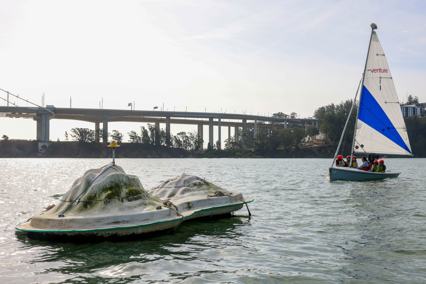 A unique floating lab in San Francisco Bay has been invaded — and researchers are learning from it