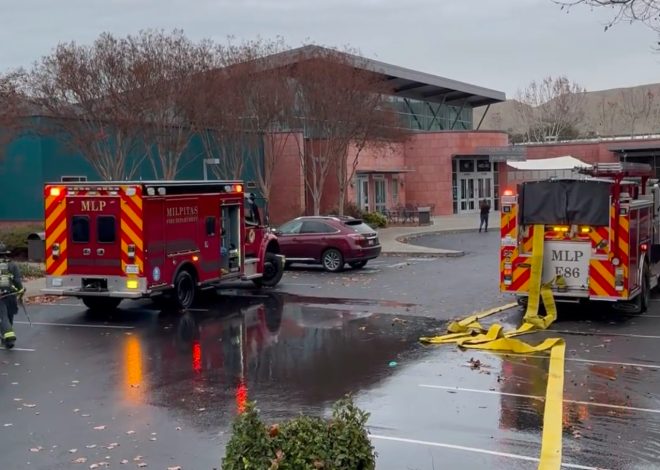 Milpitas: Humane Society of Silicon Valley resumes services after fire, seeks to rebuild building