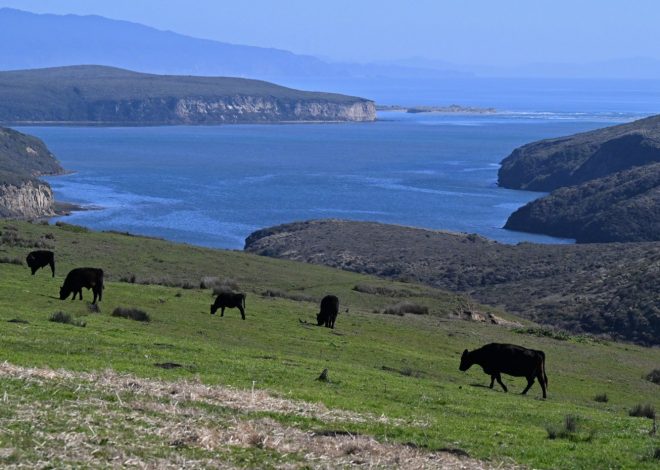 In historic deal, Point Reyes ranchers, National Park Service and environmentalists reach agreement on disputed land