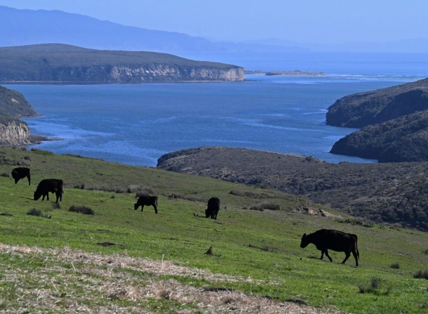 In historic deal, Point Reyes ranchers, National Park Service and environmentalists reach agreement on disputed land