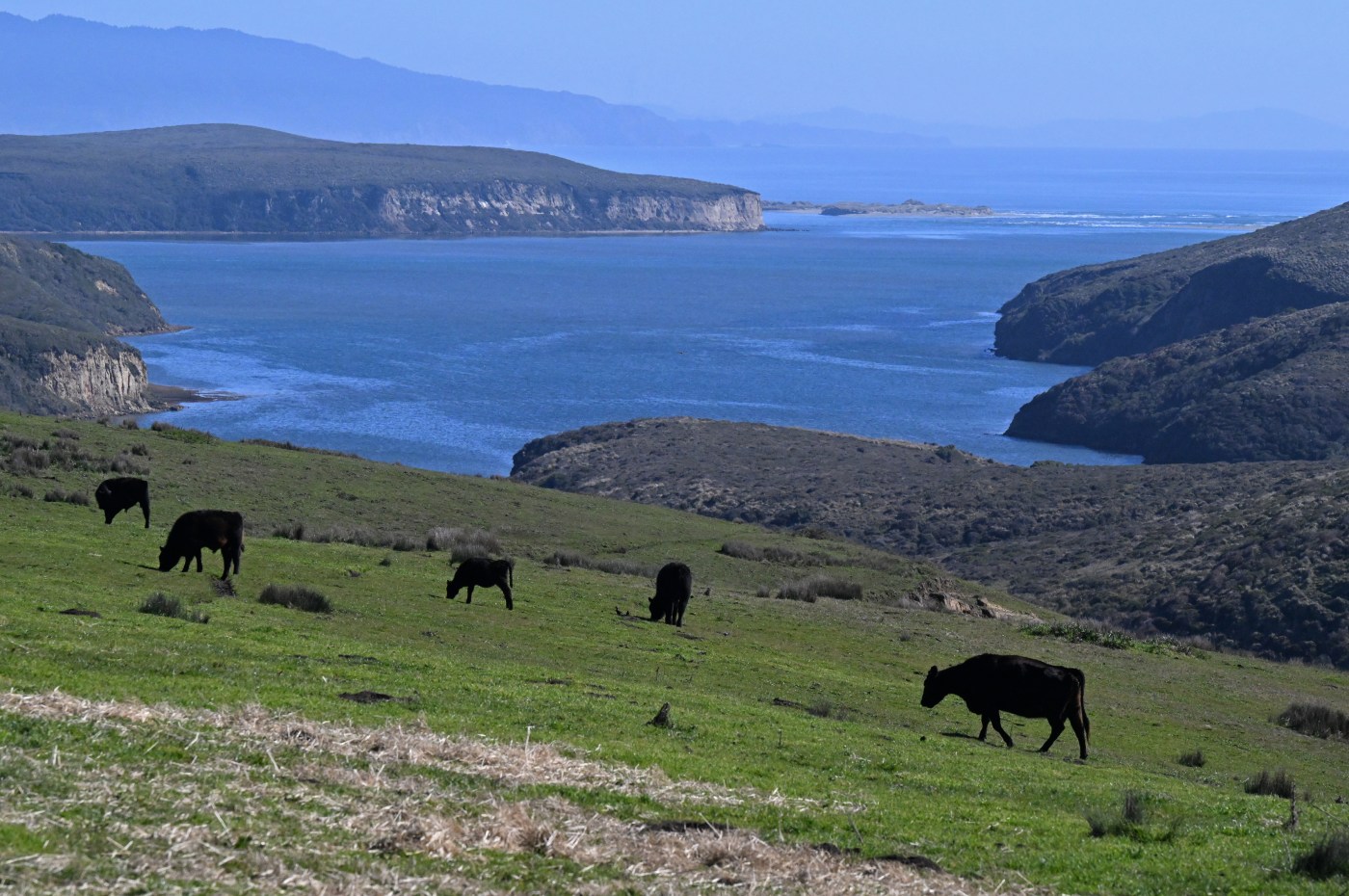 In historic deal, Point Reyes ranchers, National Park Service and environmentalists reach agreement on disputed land