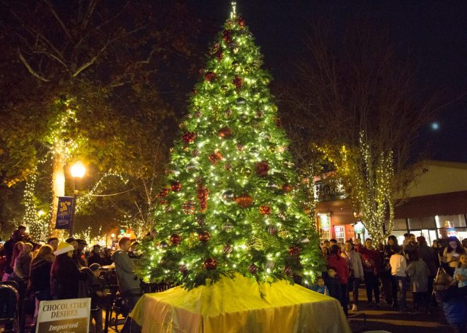 Sunnyvale residents can kick Christmas trees to the curb