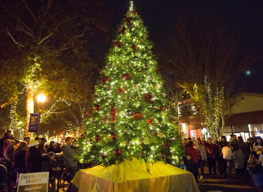 Sunnyvale residents can kick Christmas trees to the curb