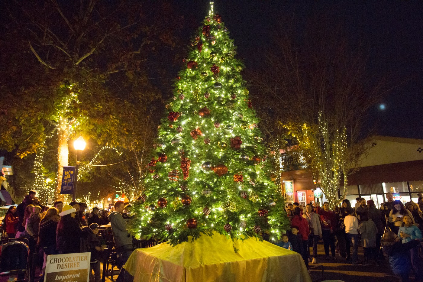 Sunnyvale residents can kick Christmas trees to the curb