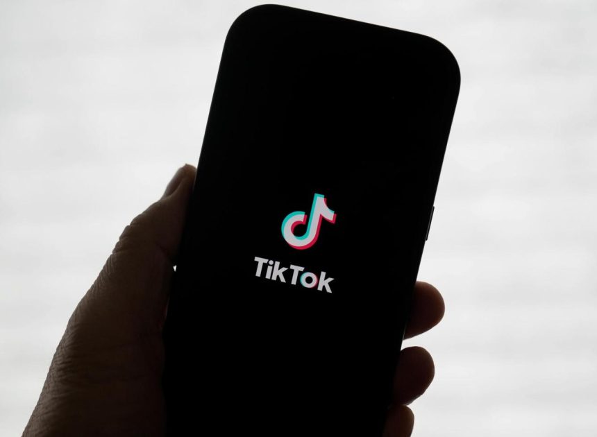 TikTok goes dark in the US