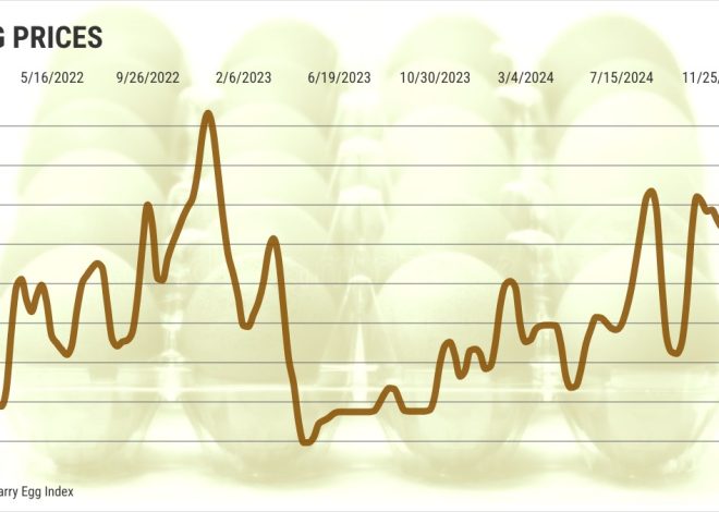 ‘Normal’ egg prices months away, analyst says