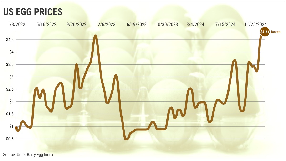 ‘Normal’ egg prices months away, analyst says