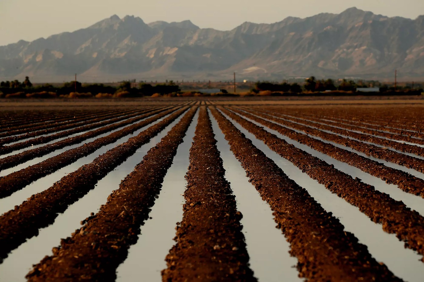 Donald Trump’s California water order does more for farms than wildfires