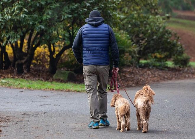 The best puffer vests for warmth without the bulk