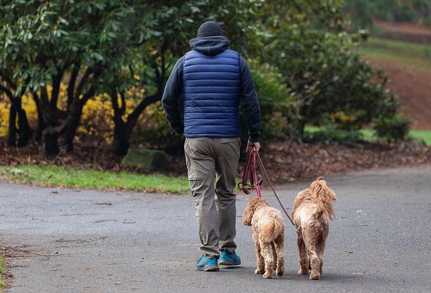 The best puffer vests for warmth without the bulk