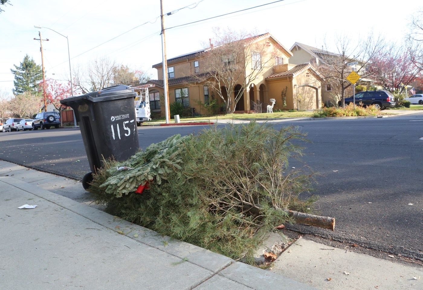 Here’s how to get rid of your Christmas tree around the Bay Area