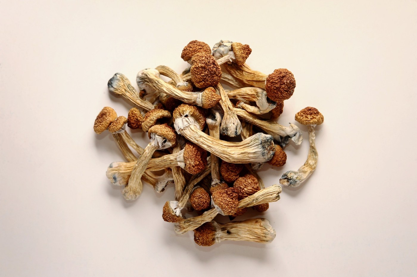 Colorado issues first psilocybin-related licenses, kicking off psychedelic industry rollout