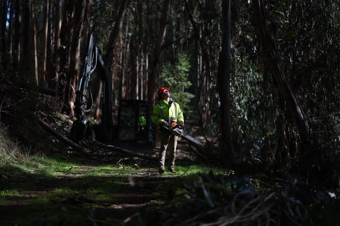 “We see this as an emergency”: How the largest wildfire-fuel management project in the Bay Area is working to prevent disaster