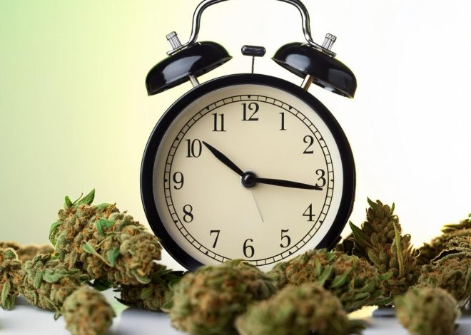 Cannabis Can Get Rid Of The Doomsday Clock Blues