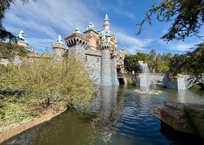 Disneyland discriminates against physically disabled visitors, lawsuit alleges