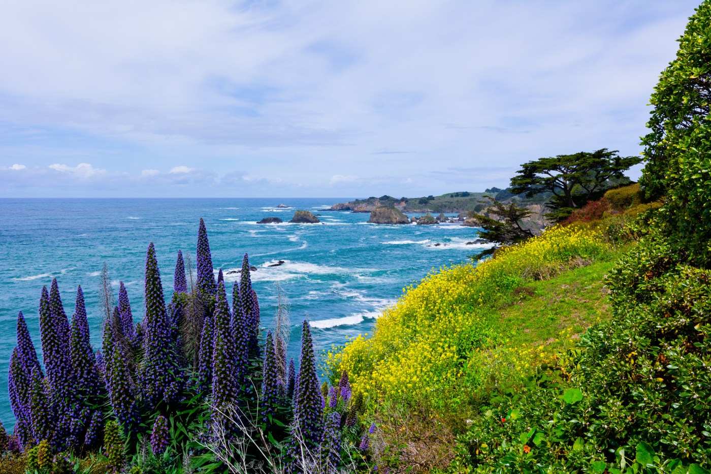 North Coast weekend getaway: 10 adventures on the Sonoma-Mendocino coast