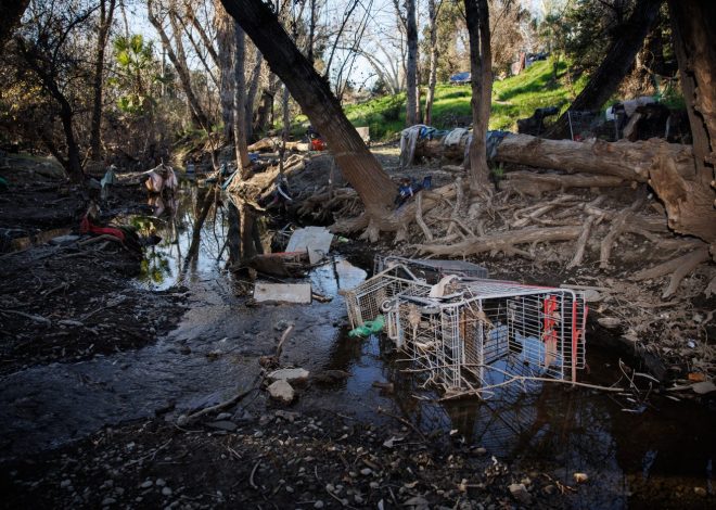 San Jose eyes reforms to combat abandoned shopping cart problem