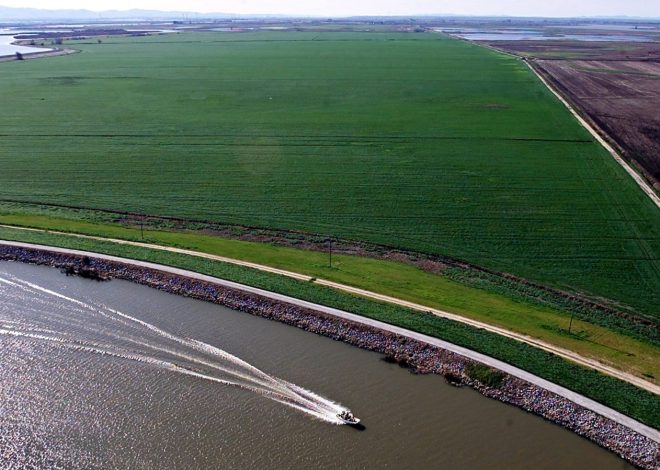 Opinion: California’s smart and vocal farmers keep silent as Trump wastes water